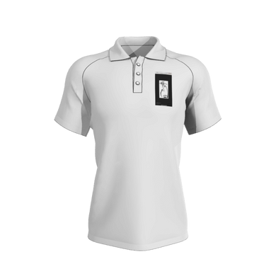 Embroidered Polo Embroidered Plain Colour Polo Shirt cotton polo. (x 2)